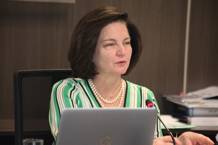 sessão 11 raquel dodge 2