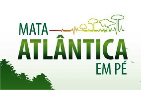 mata atlantica