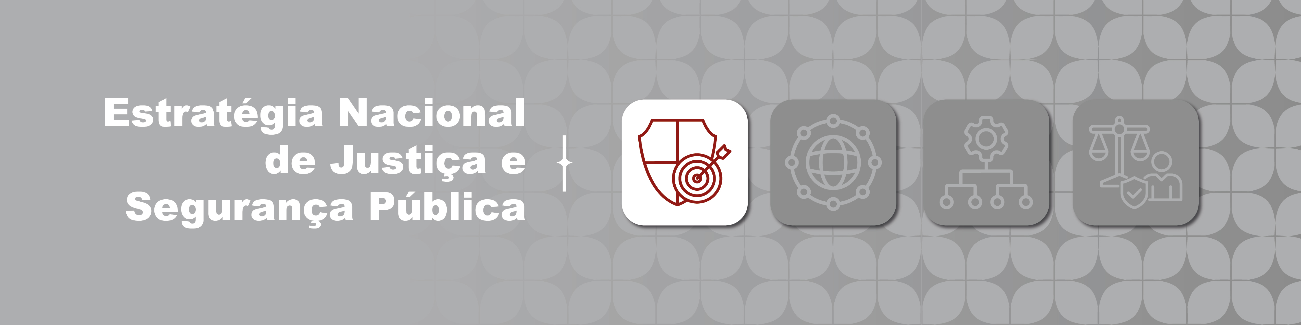 Enxoval Institucional BannerPagPortal ENASP