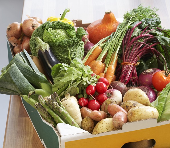 alimentos dentro materia