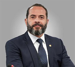 Fernando da Silva Comin