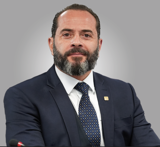 Fernando da Silva Comin