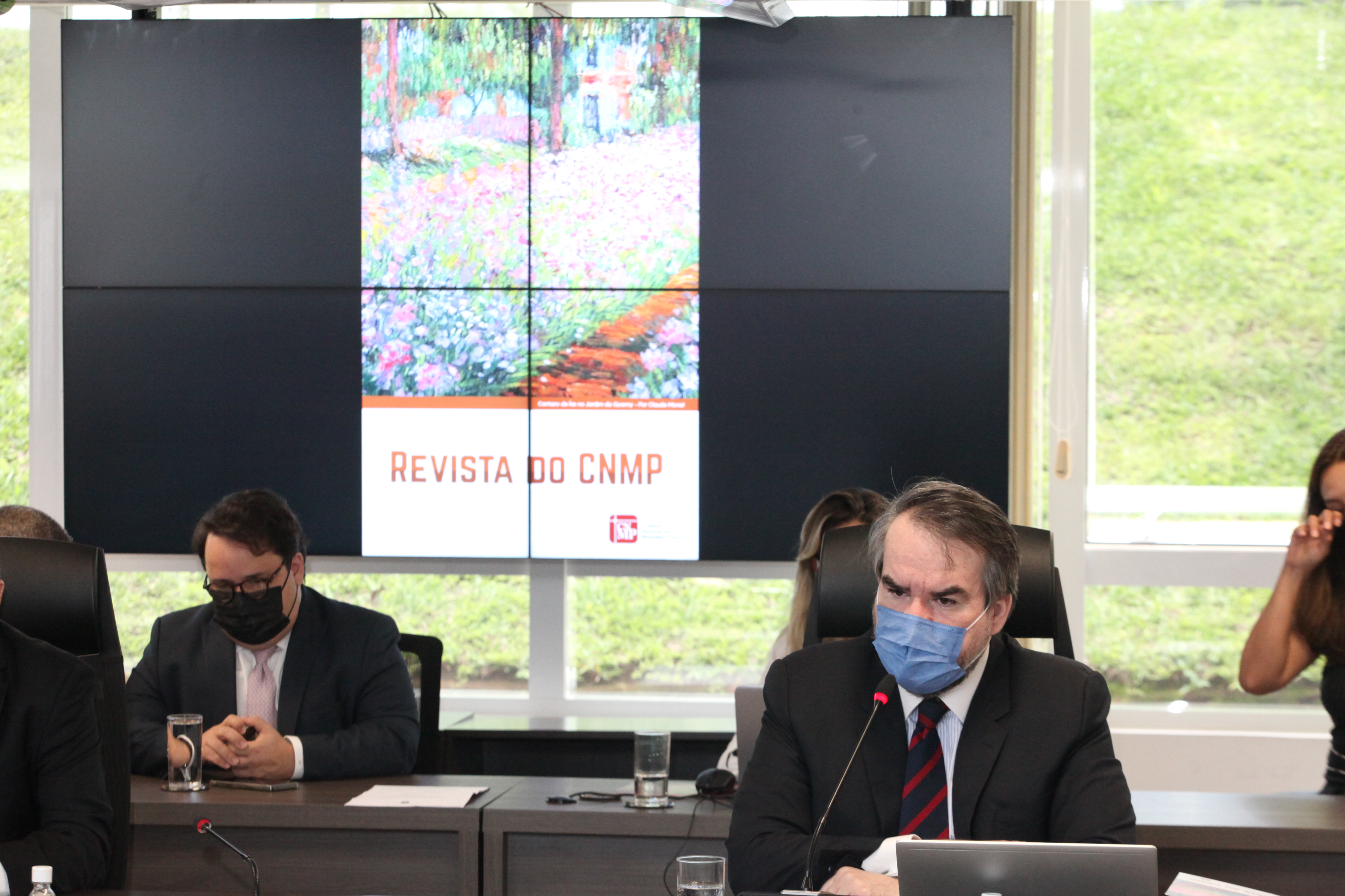 revista cnmp interna