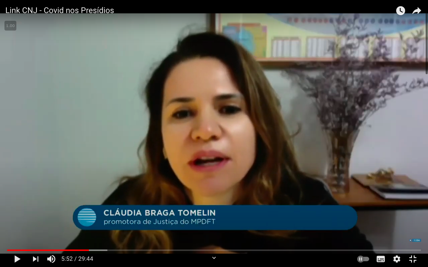 8 7 claudia tomelin csp link cnj