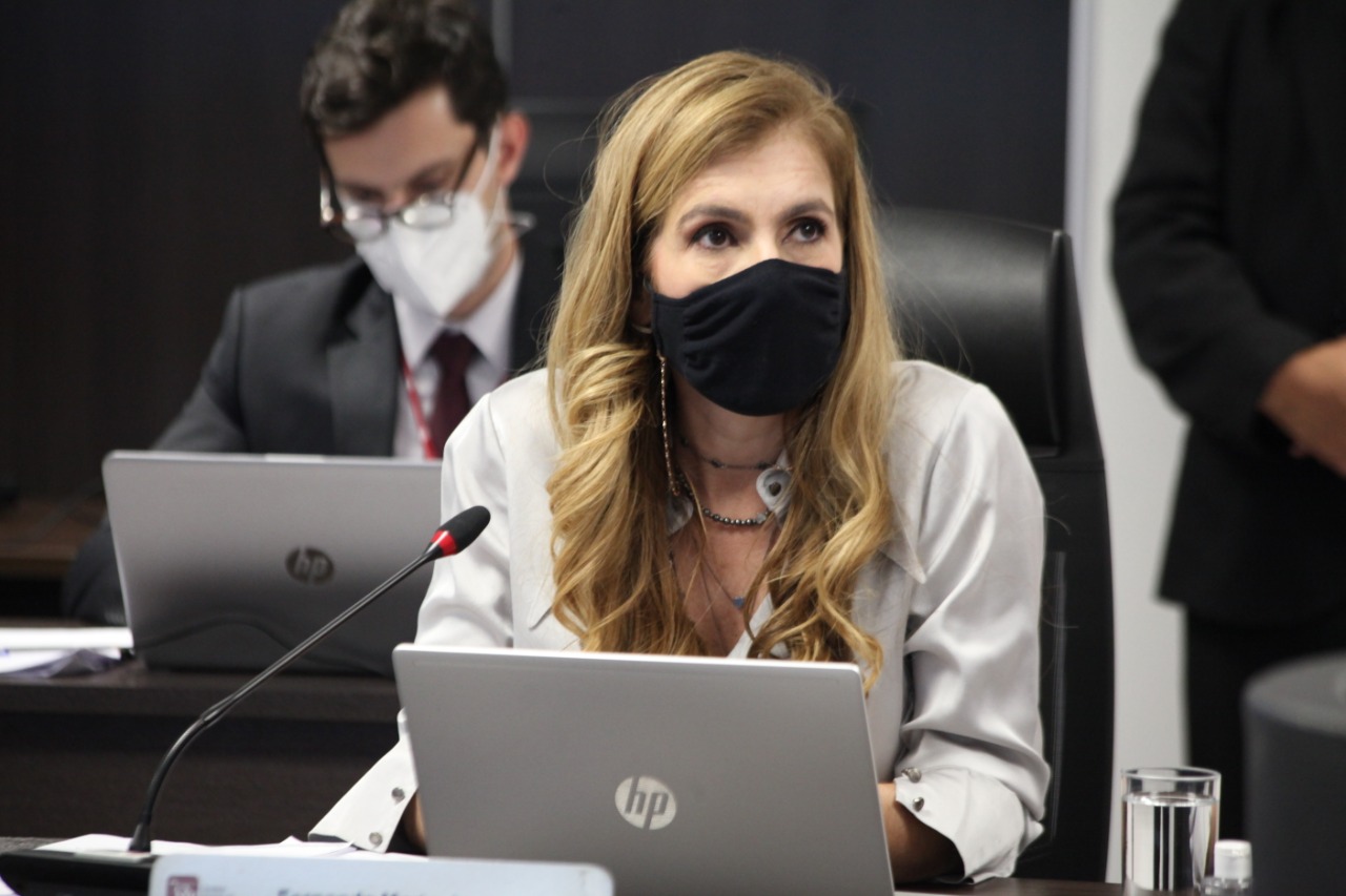 Conselheira Fernanda Marinela