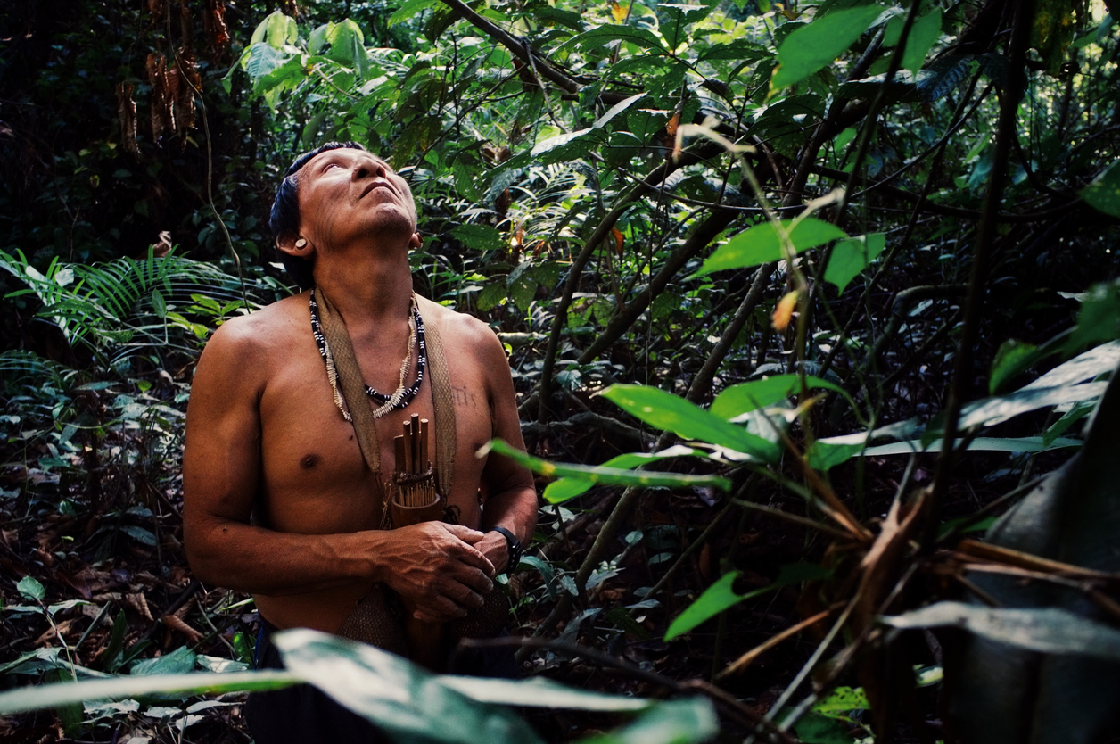 Imagem de indígena sentado no chão da floresta olhando para o alto 