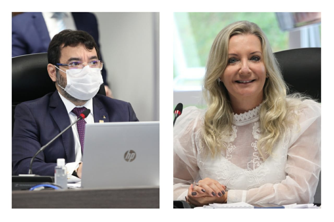 Conselheiros Oswaldo D'Albuquerque e Sandra Krieger