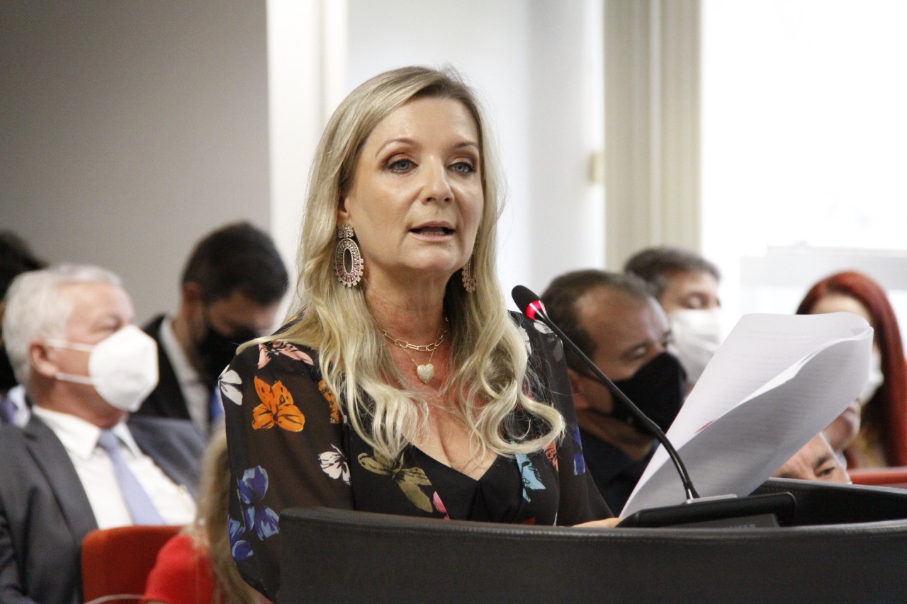 Conselheira Sandra Krieger