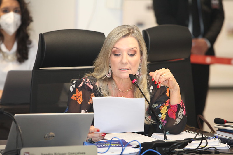 Conselheira Sandra Krieger