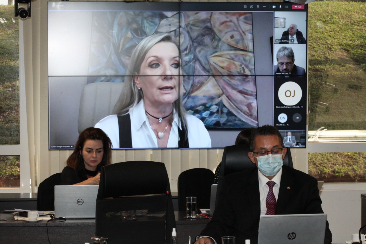 Conselheira Sandra Krieger