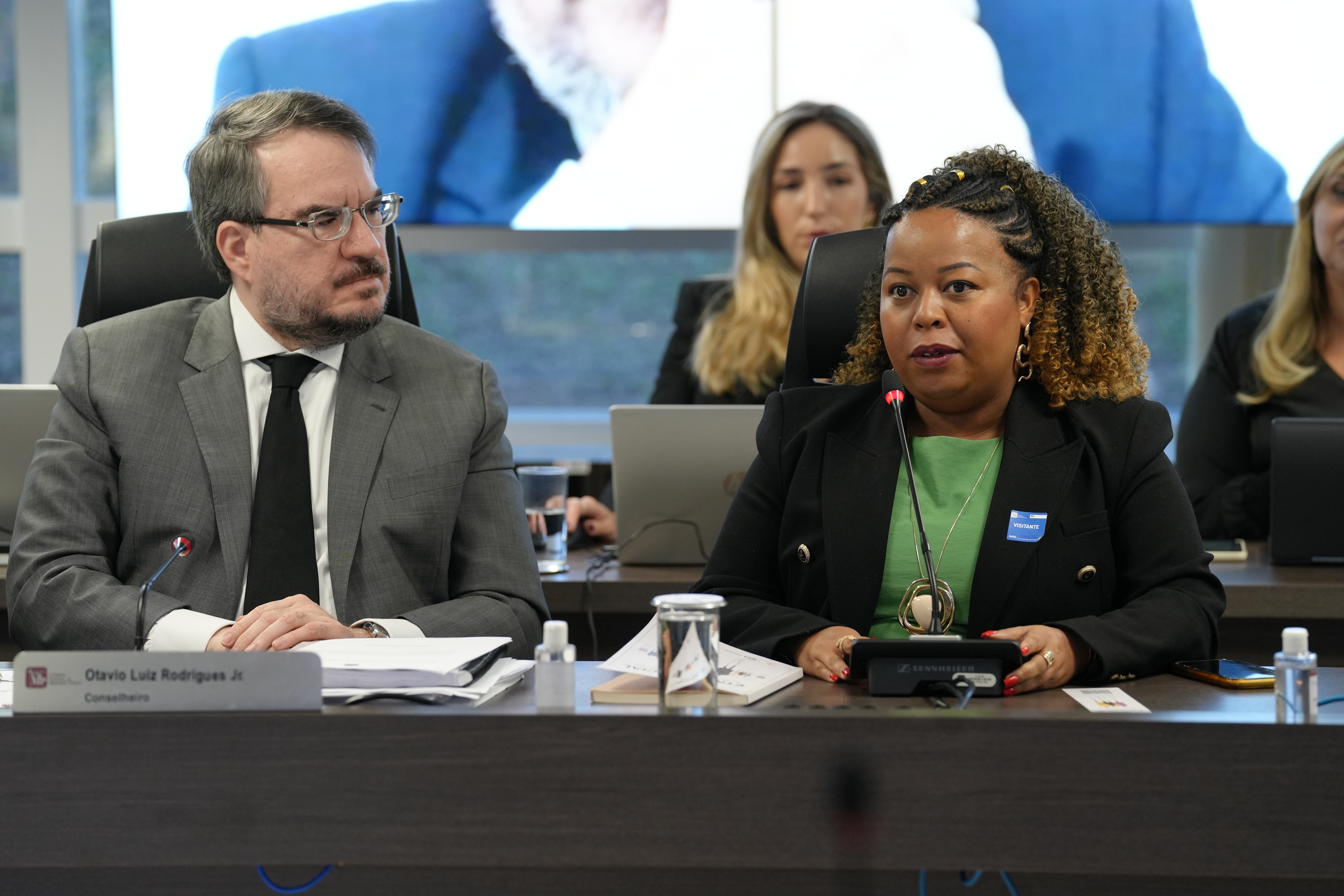 IOEA etino raacial 17