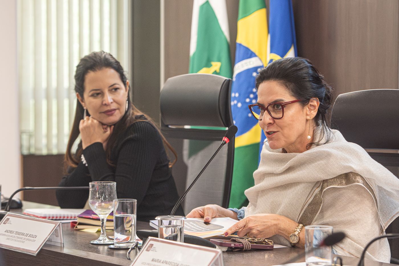 Seminário Acessibilidade e lançamento do Guia