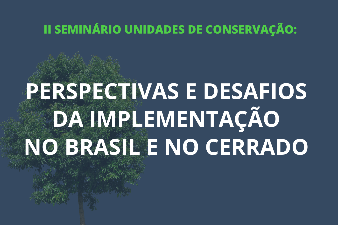seminario unidades 2