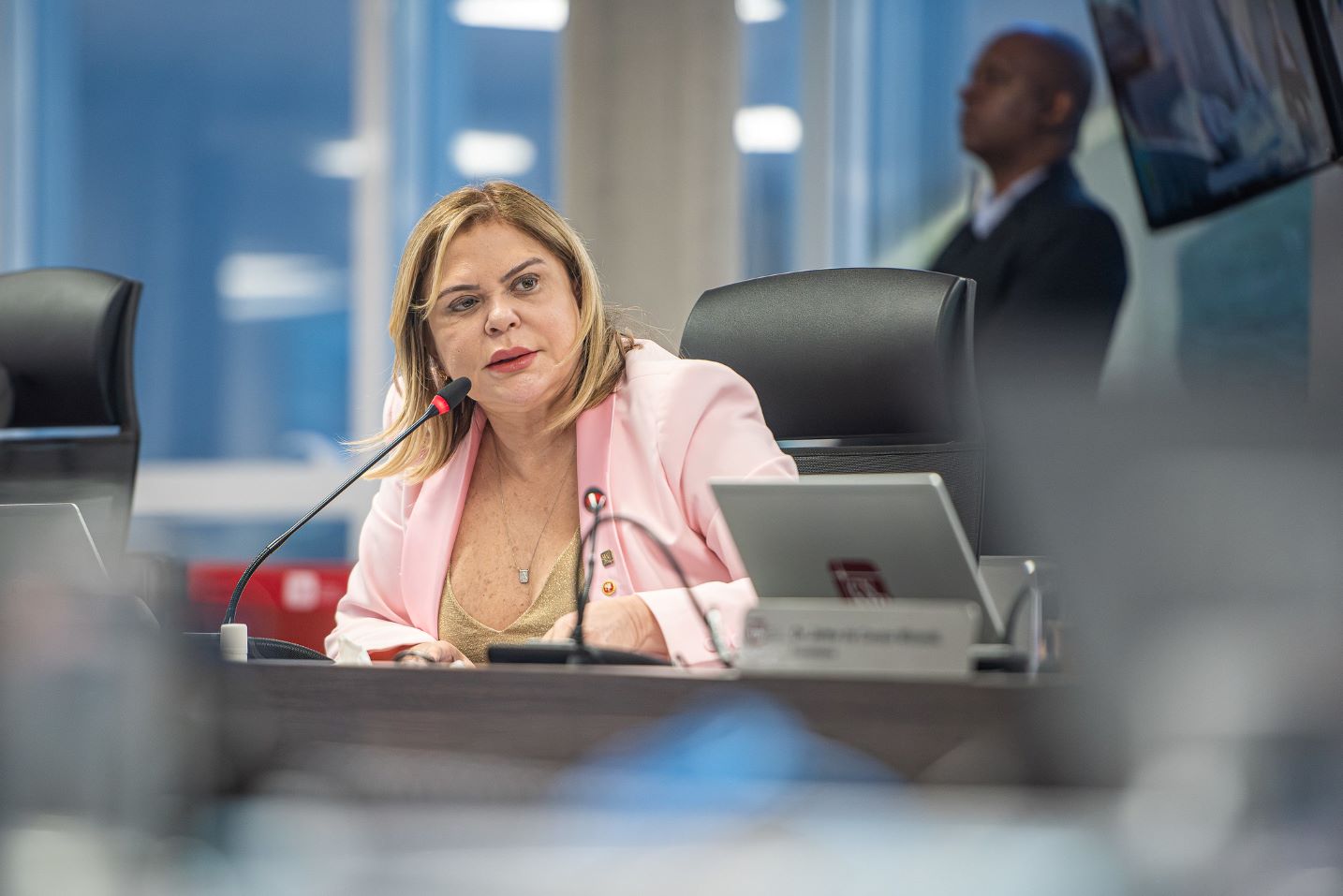 Ivana Cei na decima sessão do CNMP