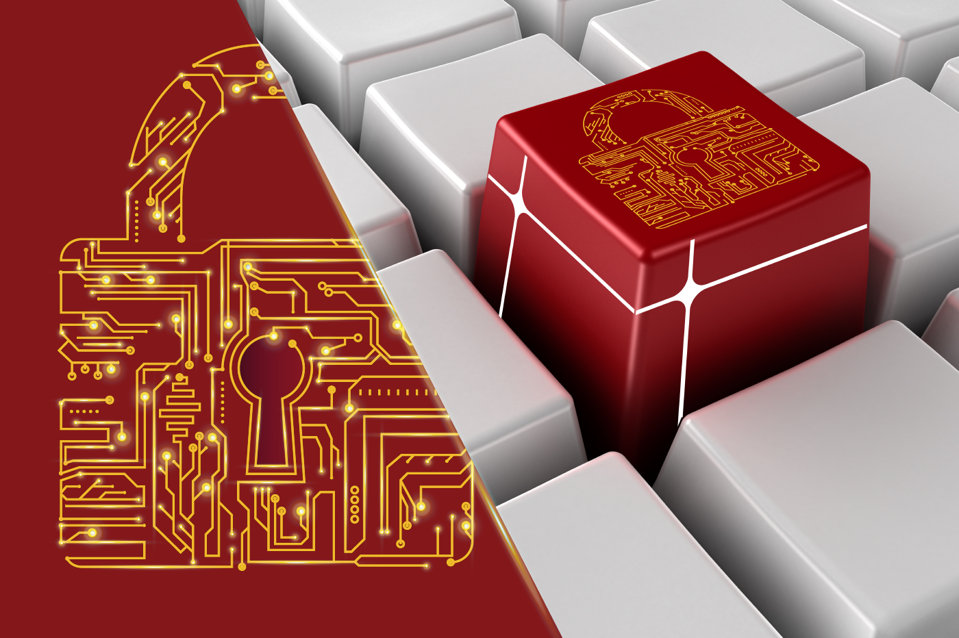 Divulgação banner noticia