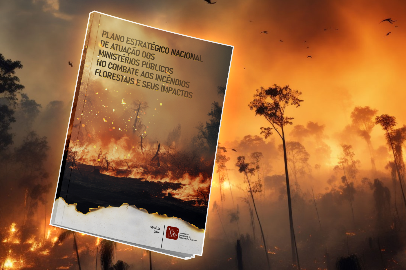 bannernot queimadas bannernot1400x932