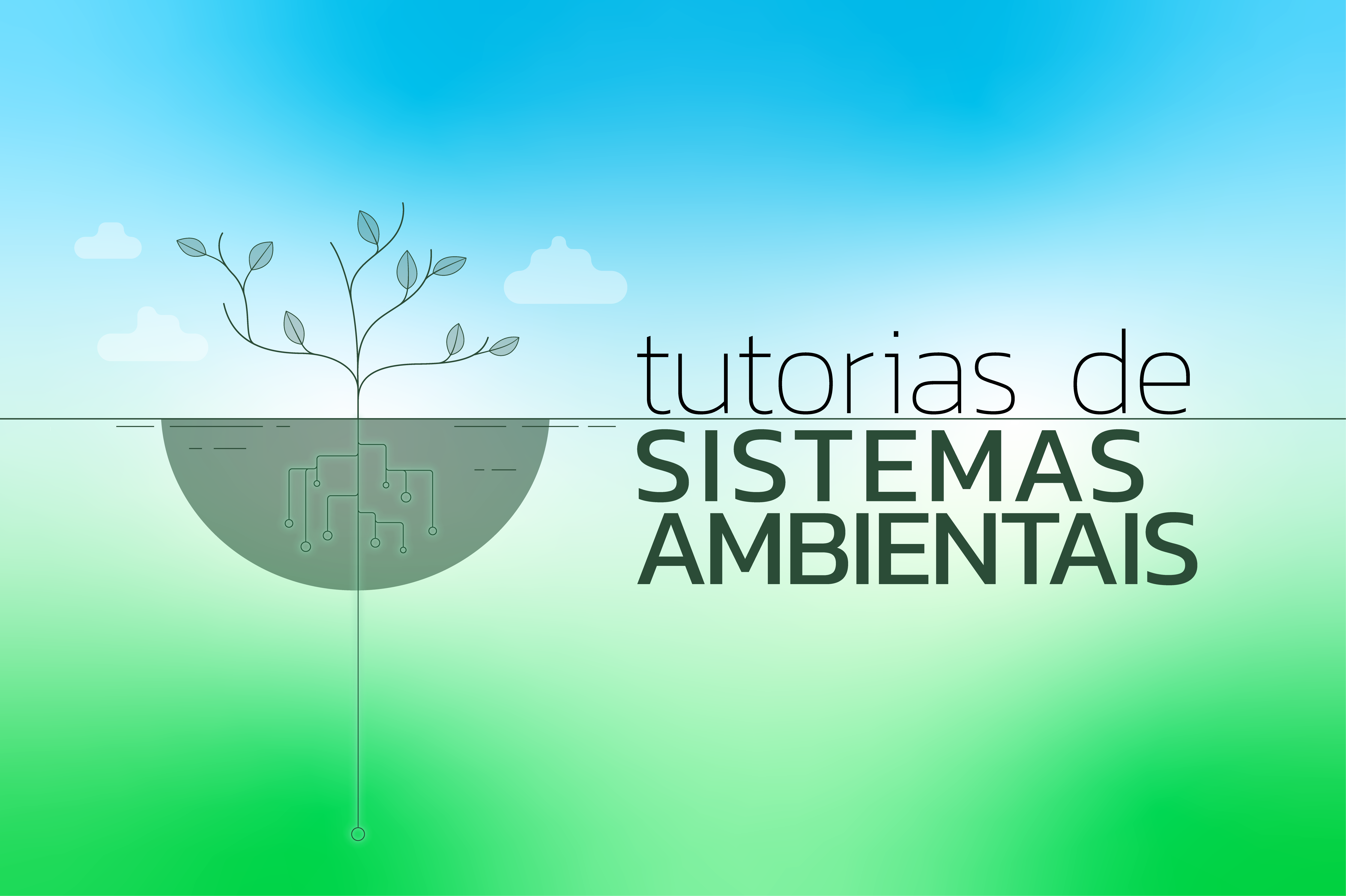 Tutorias de Sistemas Ambientais ONLINE Banner Noticia 