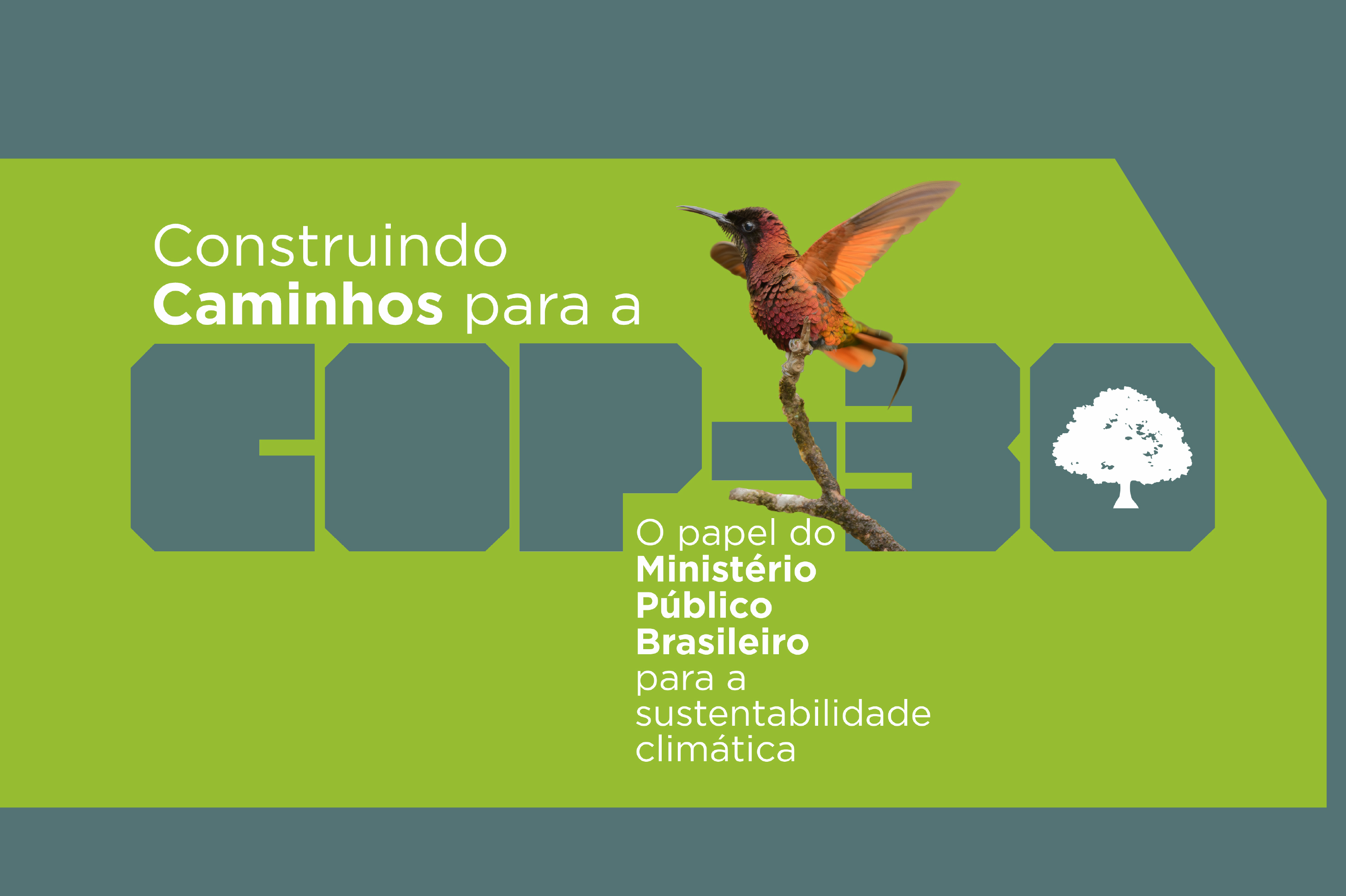 banner noticia cma cop 30