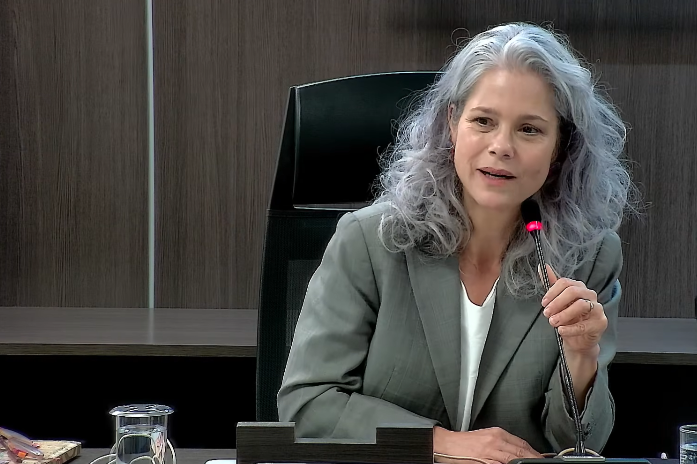 representante da OAB no CNMP 1