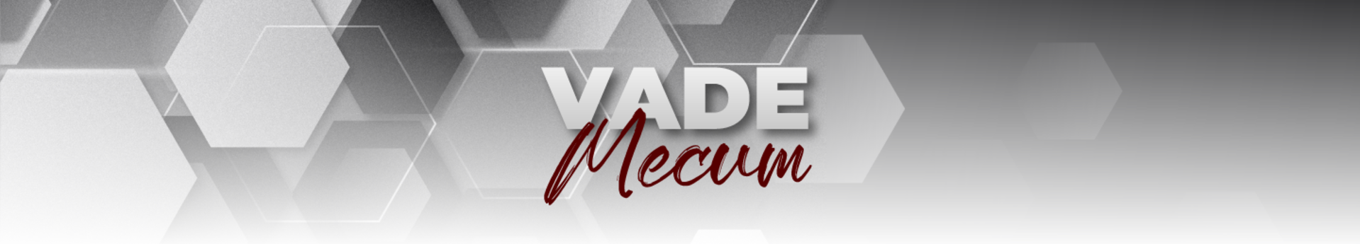banner-vade-mecum-resized.png - 370,29 kB