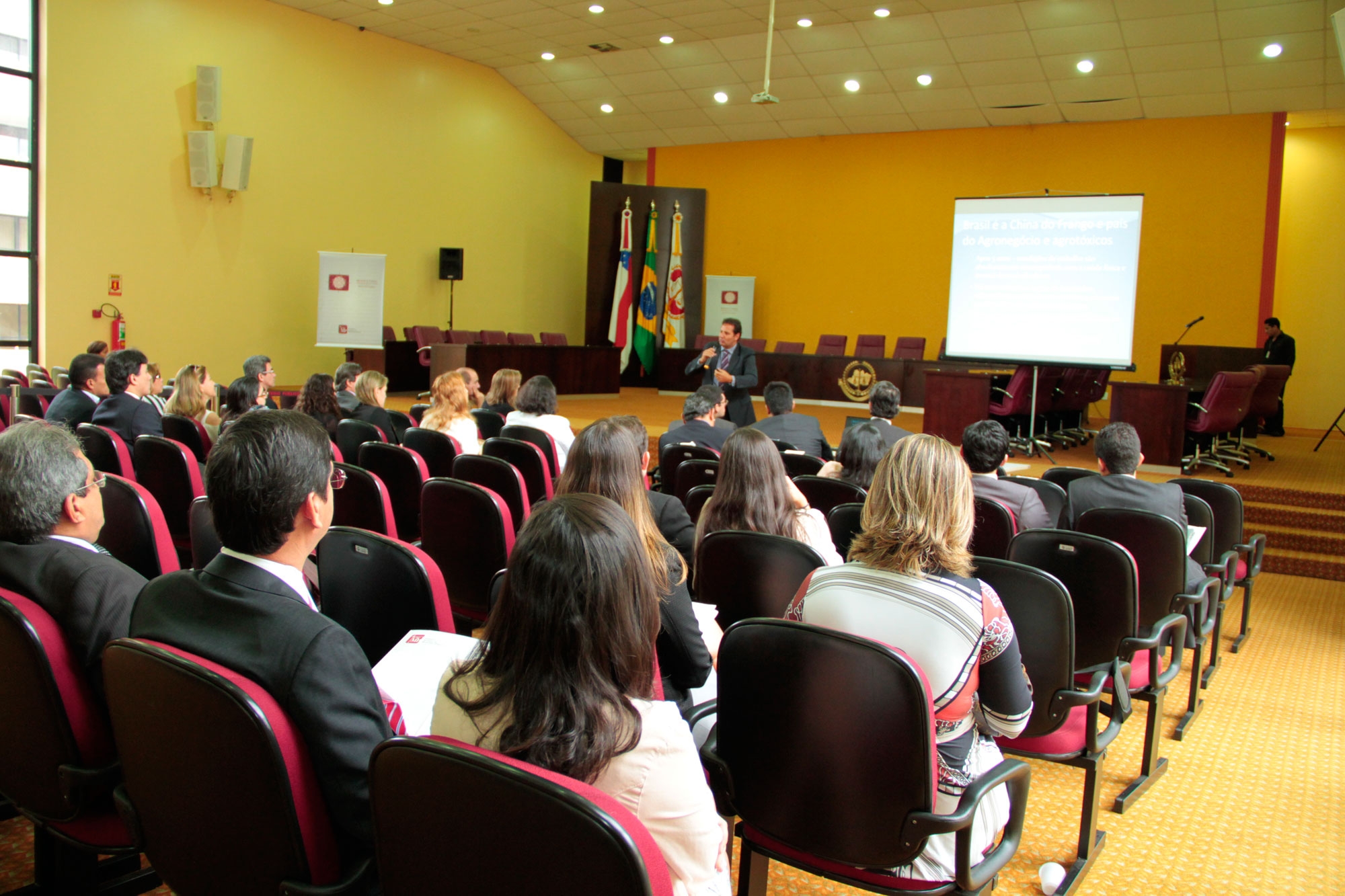 segundo_dia_Ao_Nacional_Manaus_17_abril_2013